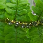 decorazione dorata catena strass