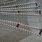 spalline strass doppia nera