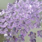 FIORE SWAROVSKI