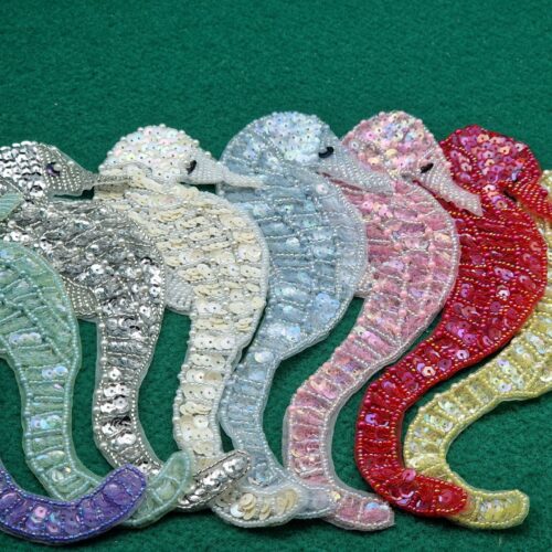 applicazione per abiti ippocampo