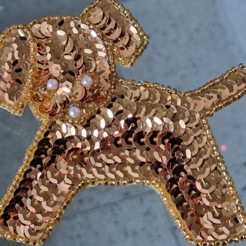 applicazione per abiti cane