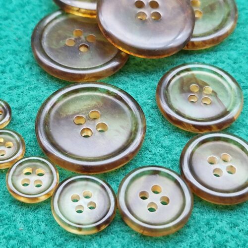 bottoni tartaruga bordino