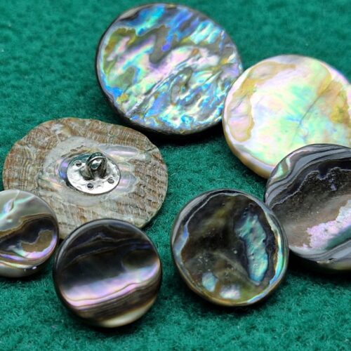 bottoni madreperla haliotis