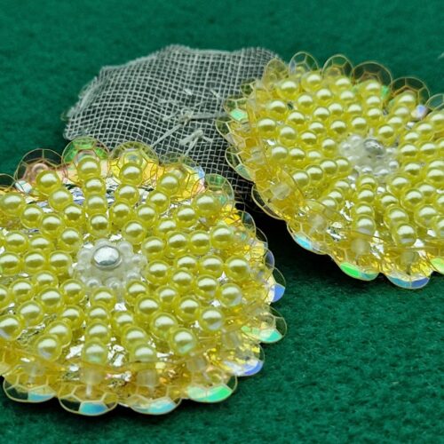 applicazione paillettes girasole